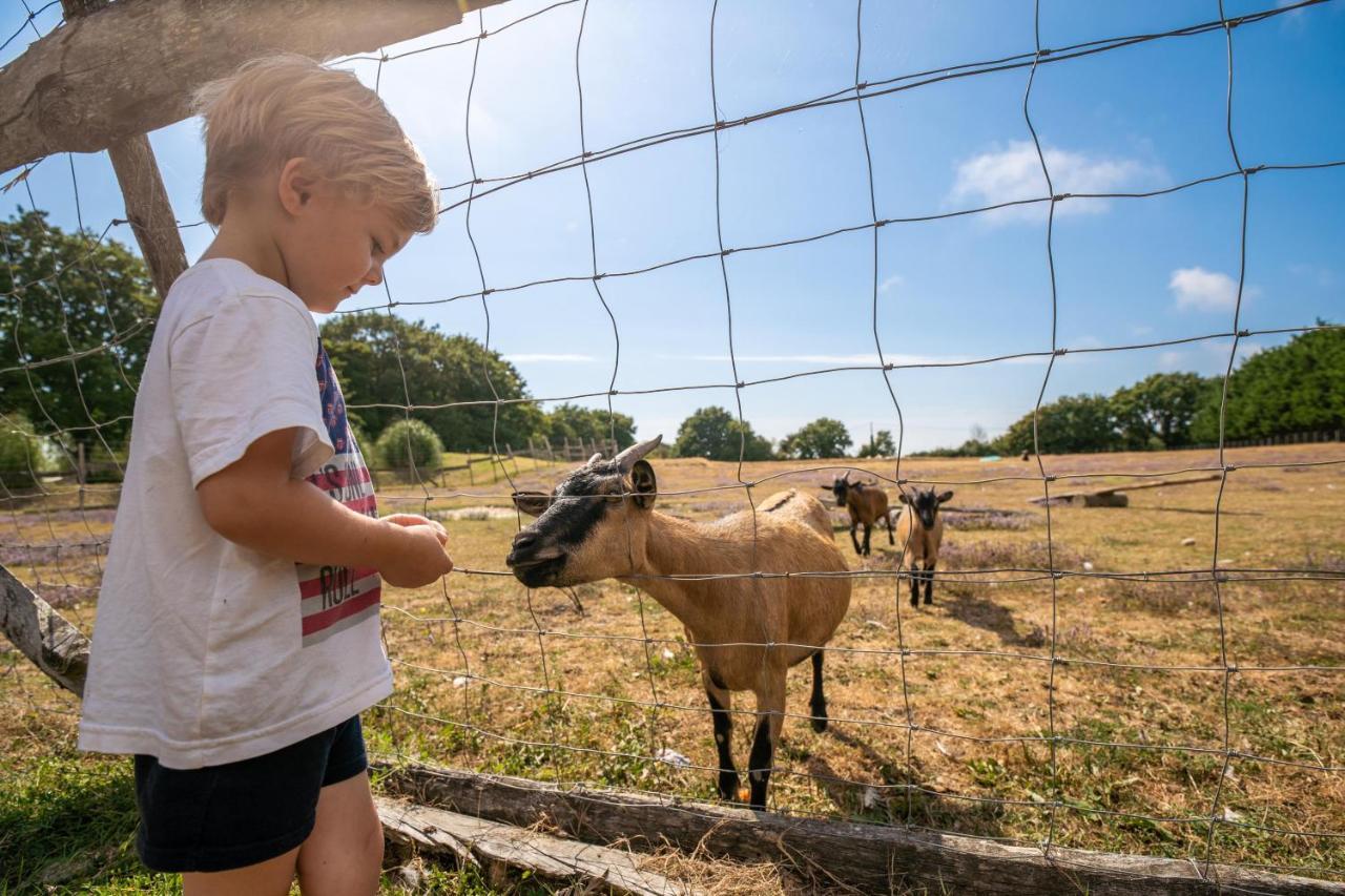 Camping Les Brillas Les Moutiers Exteriér fotografie